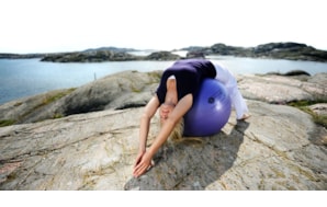 SISSEL SECUREMAX BOLA EXERCICIO 55CM AZUL-ROXO REF.160.013